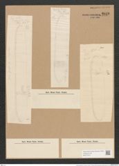 Nitzschia graeffei Grun. (de-Toni-Nr.: Genus 47, Species 2028) Zeichnungen Sammlung Grunow Nr. 4010 (NHMW-BOT-W0371810)